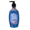 Dusky liquid handwash farray 400ml