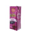 DELMONTE FRUITINI GRAPE BLACKBERRY 250ML