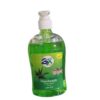 GX Antibacterial Handwash Aloe vera 500ml