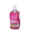 carnation antibacterial handwash 500ml eripride